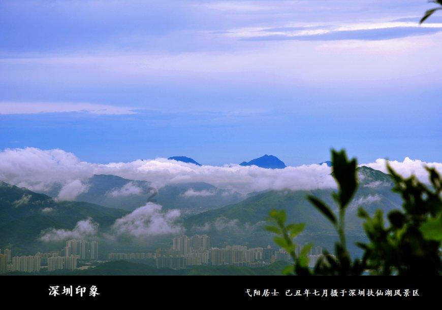 小红帽的冒险之旅