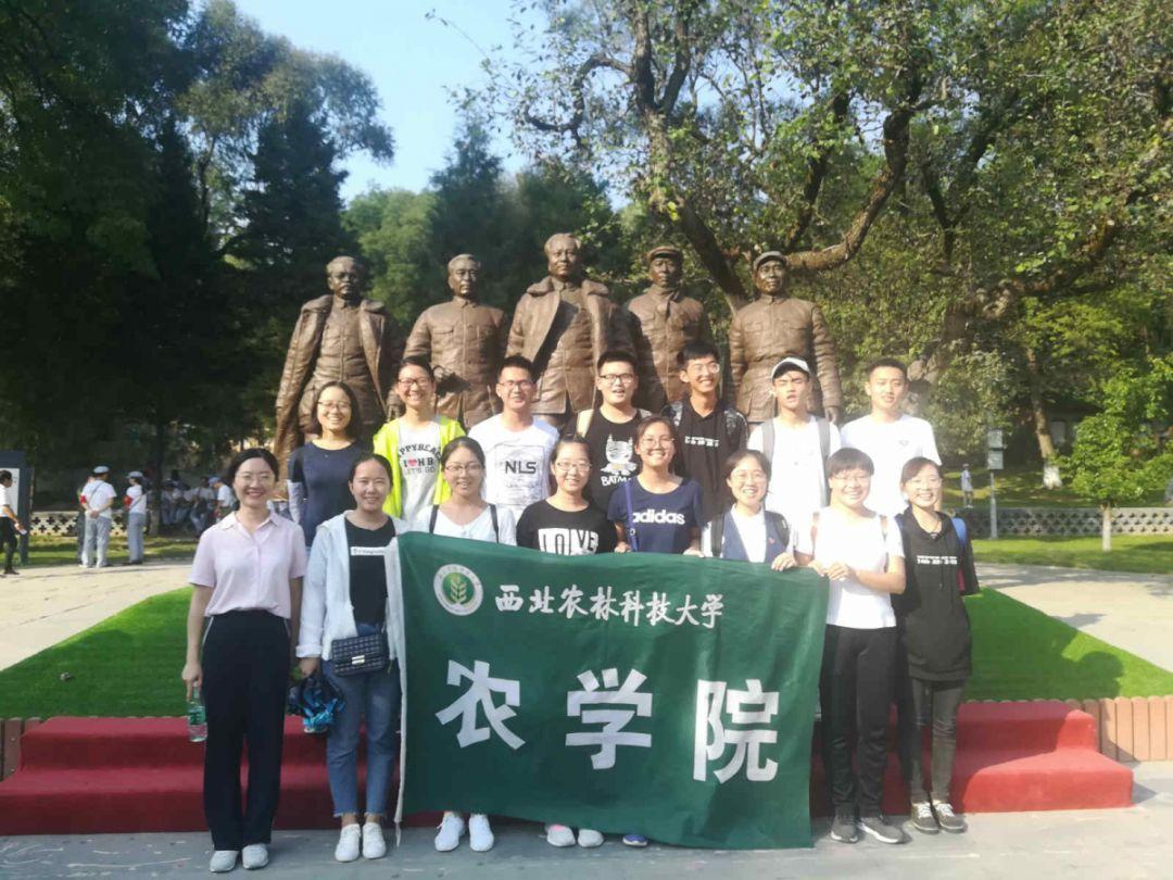 寒潮冰冻天气防御指南