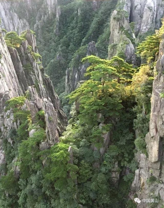 价格暴跌!去年卖4599的512GB旗舰 现在只要3000块